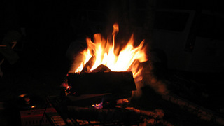 IMG_1696p.jpg